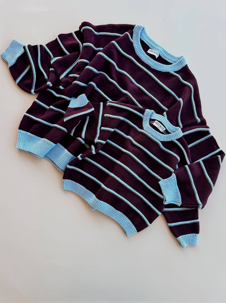 Raised Stripe Jumper - Blackberry/Arctic (6-12M)
